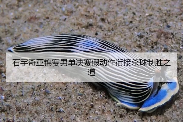 石宇奇亚锦赛男单决赛假动作衔接杀球制胜之道